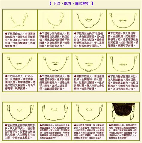 長下巴 面相|下巴面相｜9種解析：雙下巴注定貴婦命，下巴兜兜晚年無憂，姻 